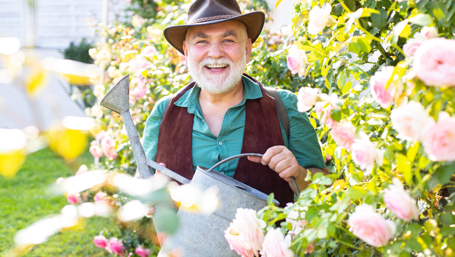 A cheerful senior man watering plants in his garden, enjoying a daily routine