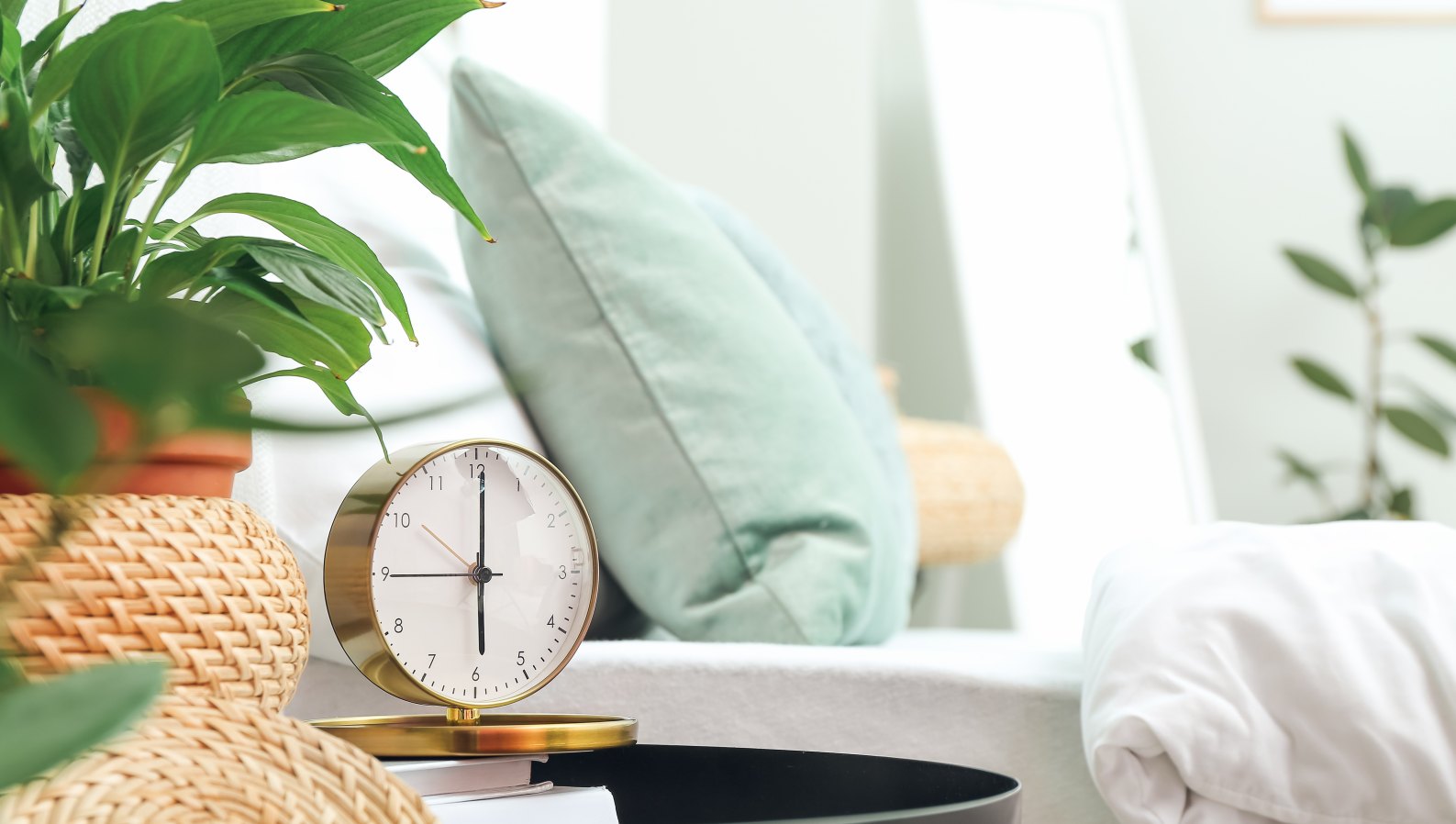 A calm morning scene with a clock and plant, a steady daily routine